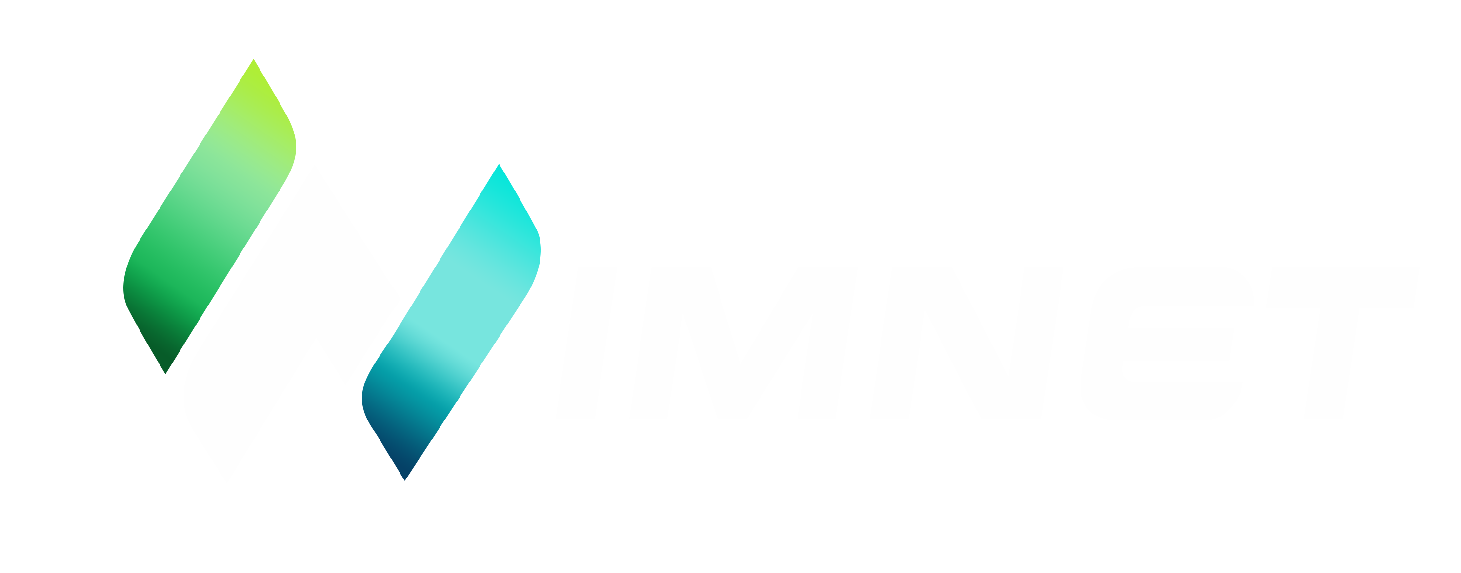 Wimnet Logo