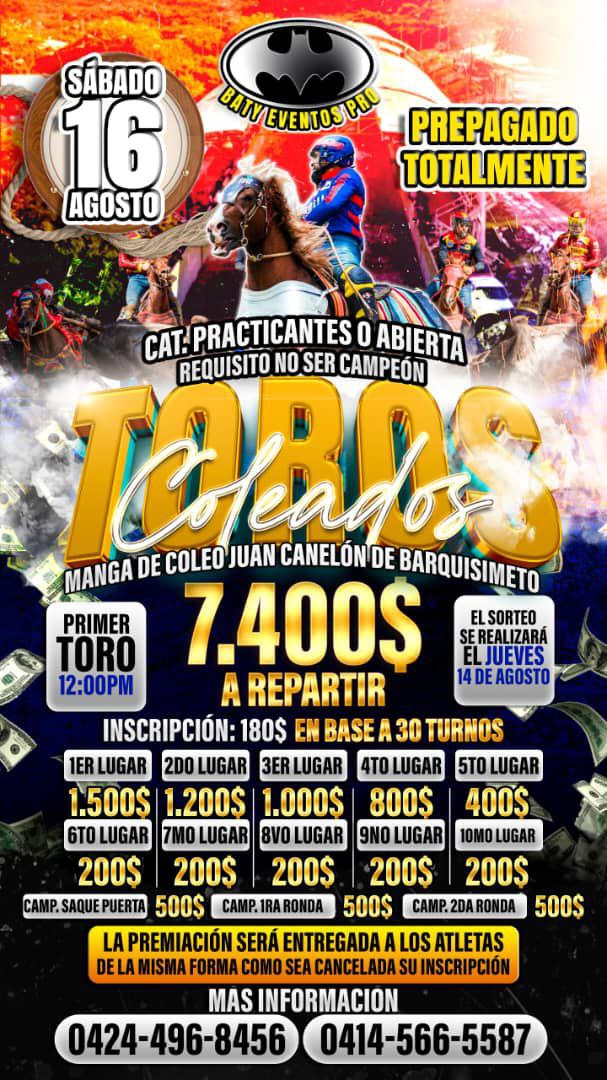 Miniatura de Toros Coleados